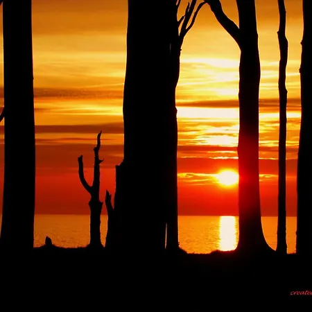 Nienhaeger أوستسيباد نينهاجن